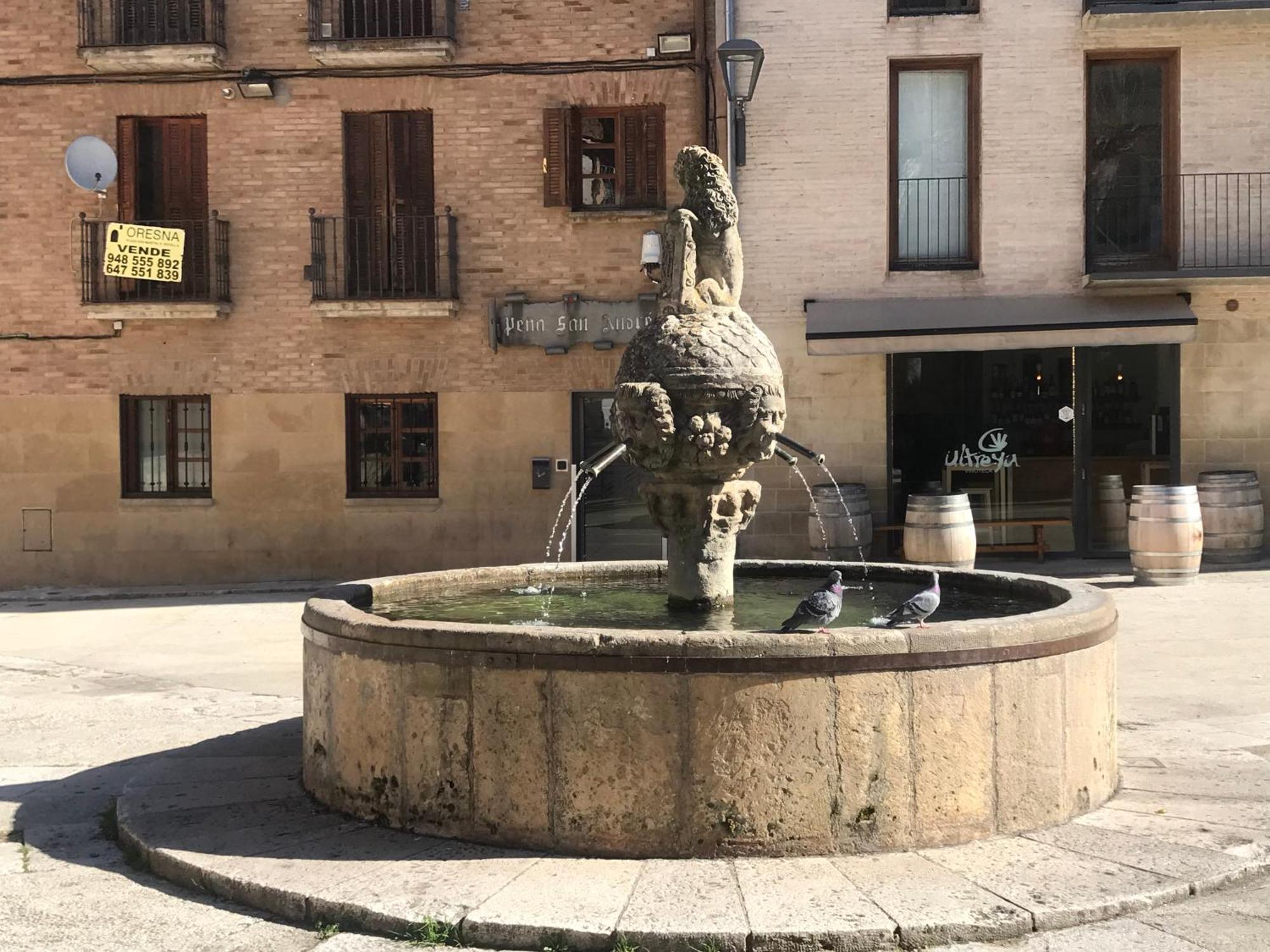 Apartamento Turistico Calle Nueva Appartement Estella Buitenkant foto